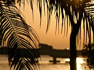 jaimie-d-agYjidAtTJc-unsplash