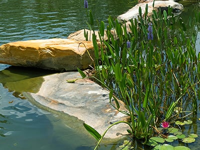 rusty-watson-3xjUC-JPs8Y-unsplash